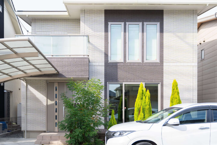 鳩被害対策における鷹匠撤去と法の正解の画像