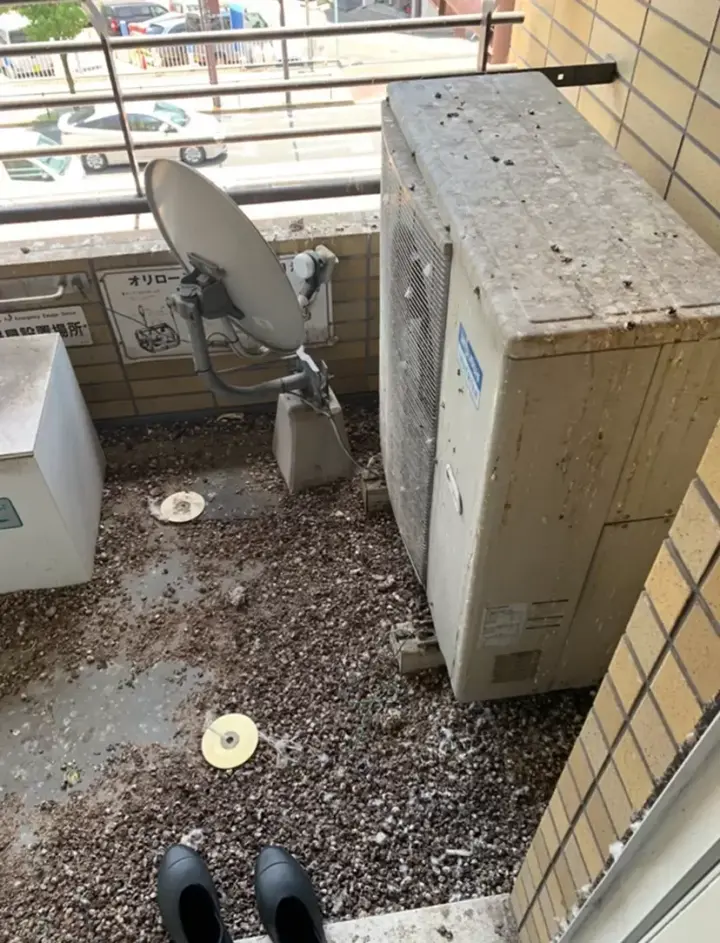 東京都品川区のベランダの鳩被害事例施工前