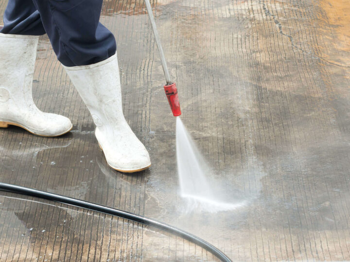 清掃や消毒まで徹底対応できるハト駆除業者鳩被害対策ネット