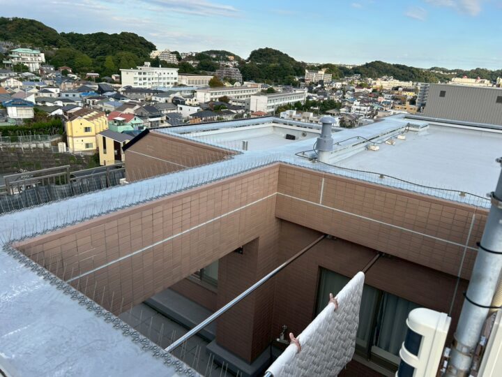 神奈川県横須賀市のベランダの鳩被害事例施工後
