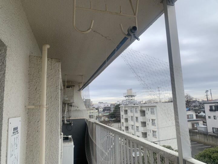 川口市の集合住宅での鳩侵入・対策事例の画像